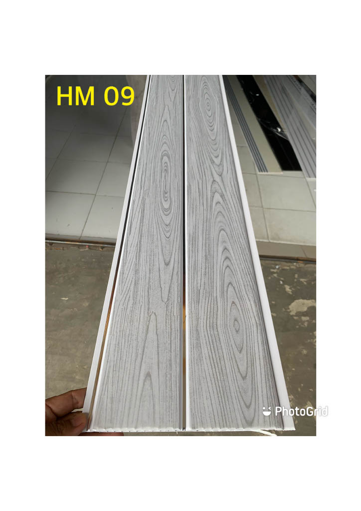 HM009